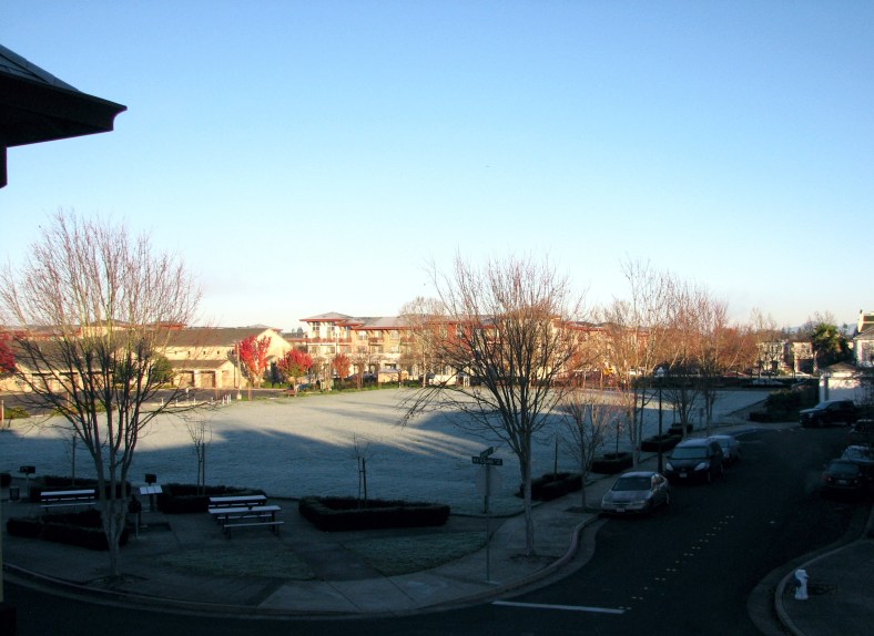 Village Green Park, Santa Rosa, on a frosty morning