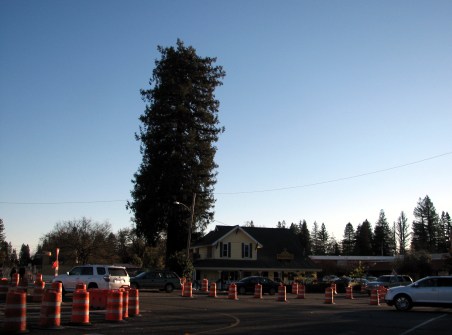 Parish Cafe, Healdsburg