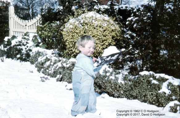 Snow in the Garden, February 1962