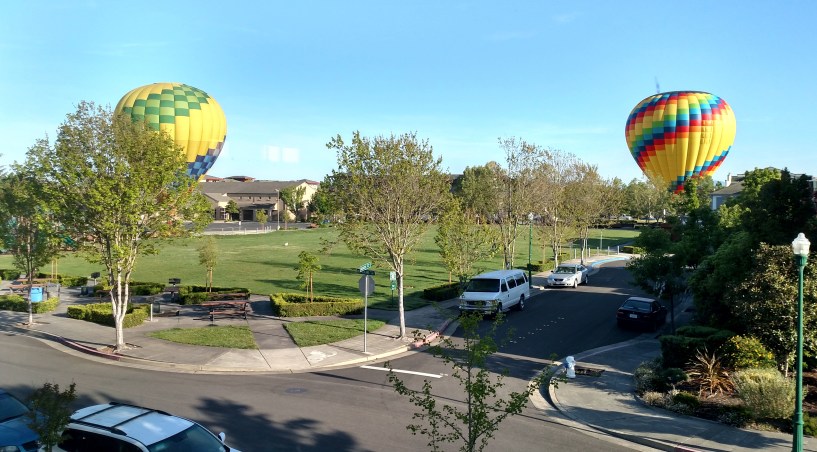 Balloons in the Park
