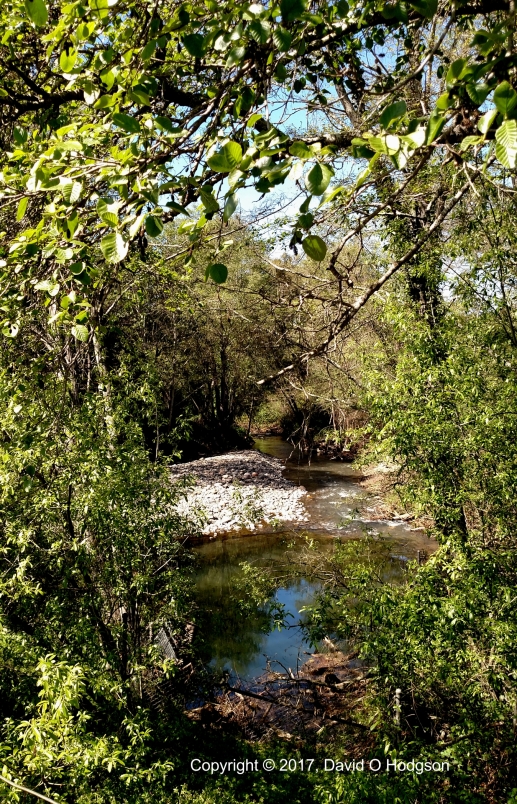 Santa Rosa Creek at Melitta Station
