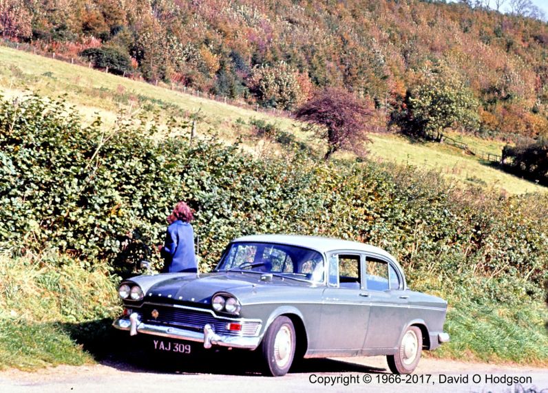 Picking Blackberries in Hackness, 1966