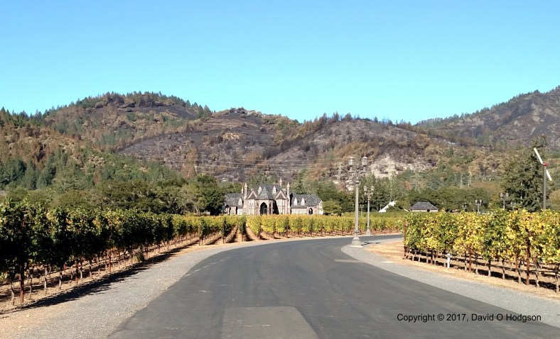 LedsonWineryBurnedCright