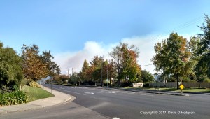 Smoke from the Oakmont Fire, from Highway 12