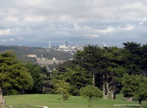 Unusual view of Downtown San Francisco, from the Legion of Honor