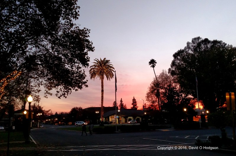 Sonoma Plaza at Thanksgiving
