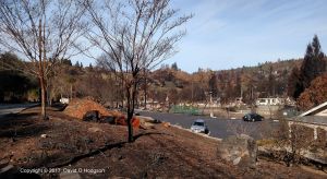 Devastation in Hidden Valley