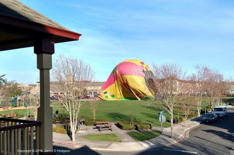 BalloonInPark2018-2Cright