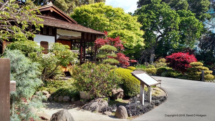 JapaneseGarden2Cright