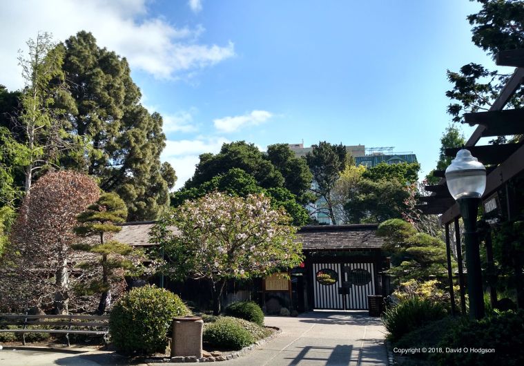 JapaneseGarden3Cright