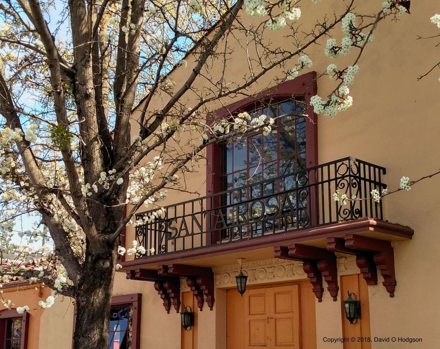 Tree Blossom at the Railroad Depot, Santa Rosa