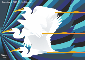 Egret Shock Wave, 2018