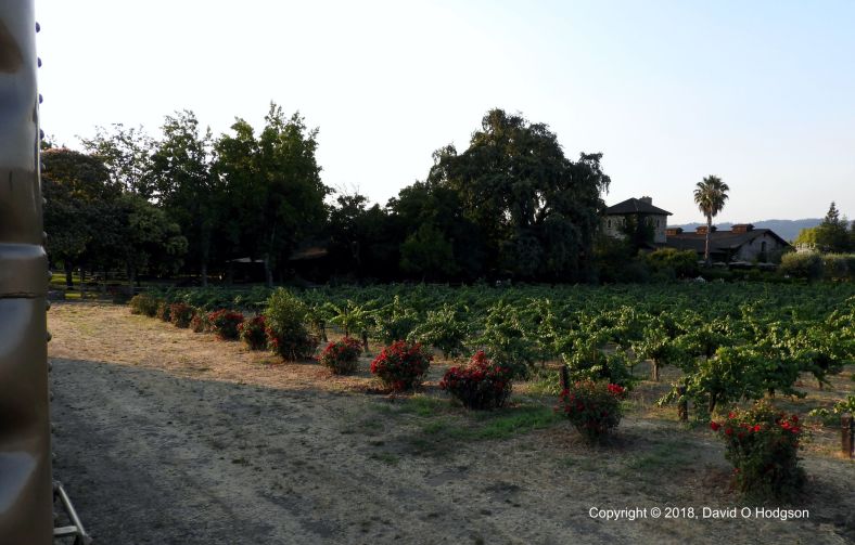 V Sattui Winery from the Wine Train