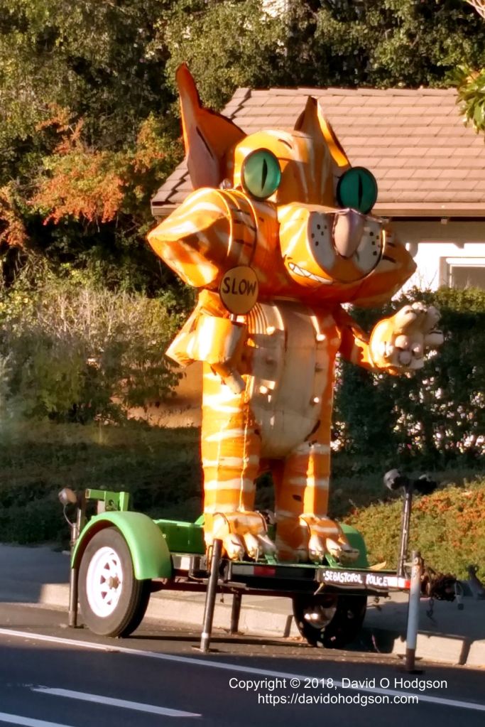 Cat-Themed Road Sign in Sebastopol