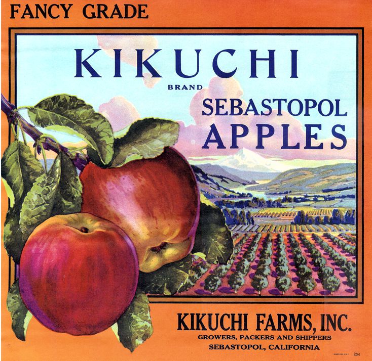 Kikuchi Apples Label