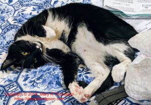 Ignatz helping Mary to recover