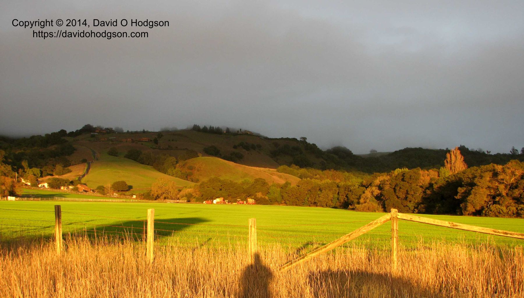 Winter Solstice, Cotati, California