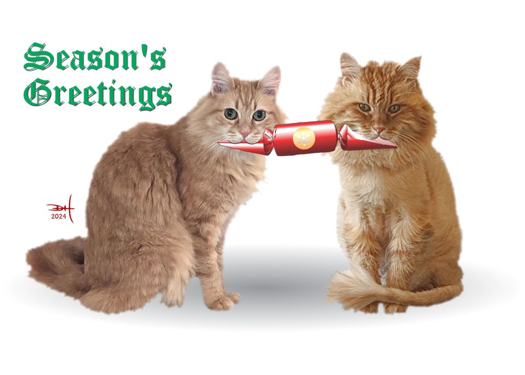 2024 Yuletide Card Design